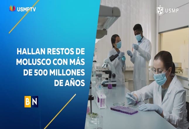 DESCUBREN RESTOS DE MEDUSA MÁS ANTIGUA DEL MUNDO